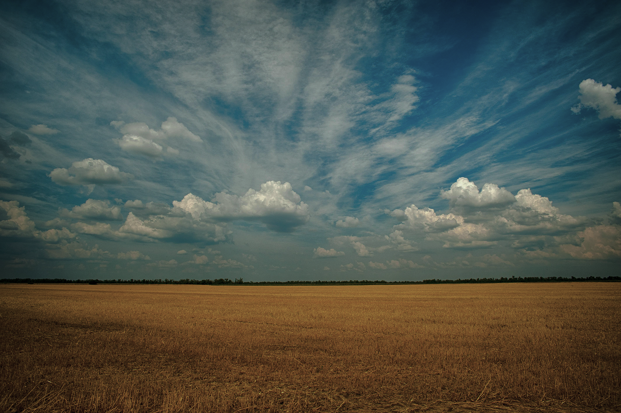 Background card for AiSDR case studies featuring beautiful Ukraine