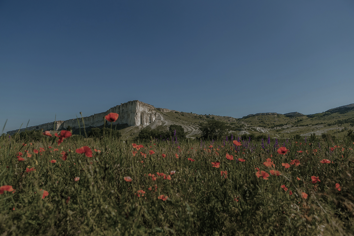 Background card for AiSDR case studies featuring beautiful Carpathians