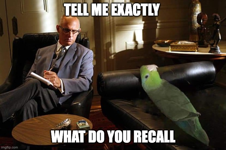 Therapist asking a parrot to recall what it remembers, used as a metaphor AI Strategist new skill